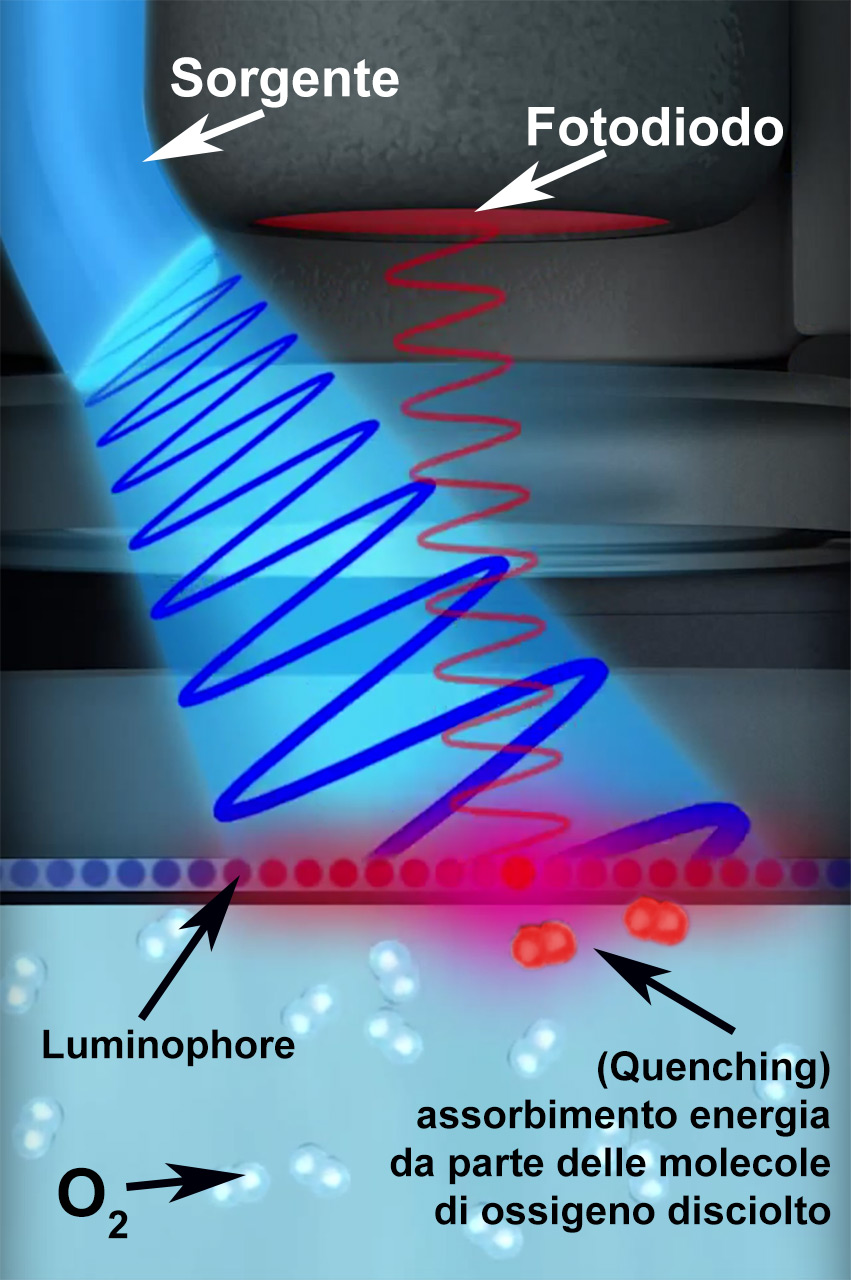 Quenching - Riduzione della fluorescenza Quenching - Riduzione della fluorescenza